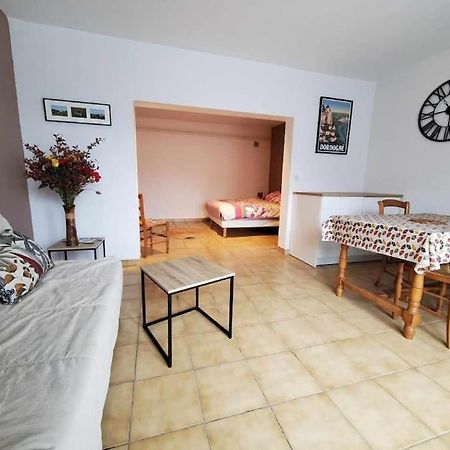 Studio Au Pied Du Chateau De Castelnaud Dış mekan fotoğraf